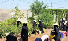 هيام ونساء أخريات يتعلمن الزراعة المستدامة ضمن برنامج تدريب سُبل العيش . ©UNFPA Yemen/YW