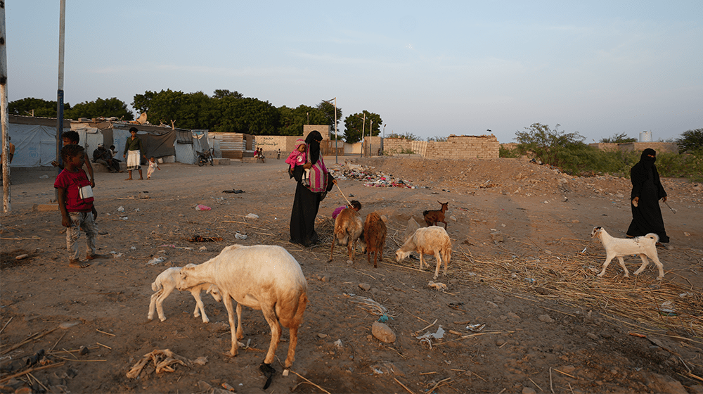 أم مهرة، 38 عاماً، لديها أربعة أطفال وتعيش في مخيم للنازحين في المرتفعات الجنوبية الغربية لليمن منذ سبع سنوات. تعرضت أم مهرة للإ