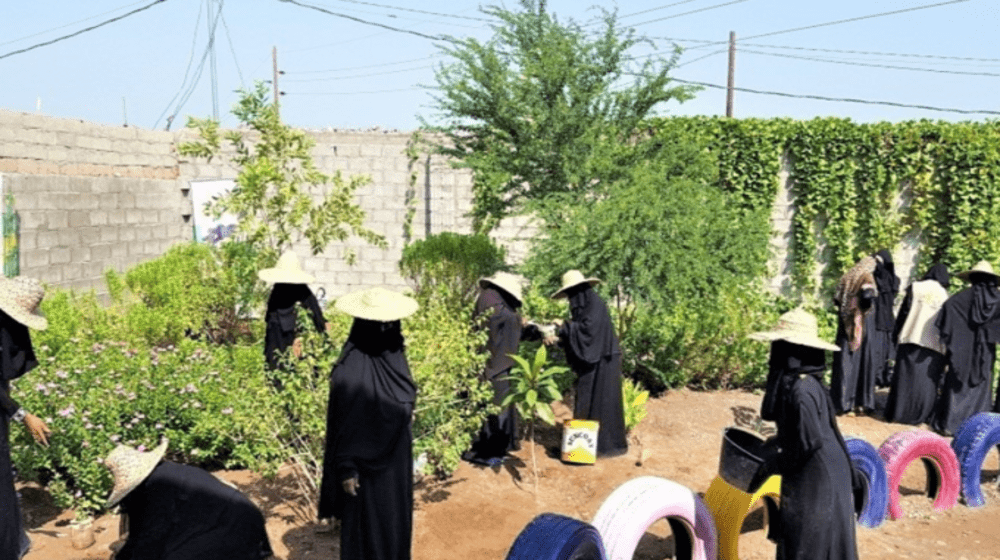 هيام ونساء أخريات يتعلمن الزراعة المستدامة ضمن برنامج تدريب سُبل العيش . ©UNFPA Yemen/YW