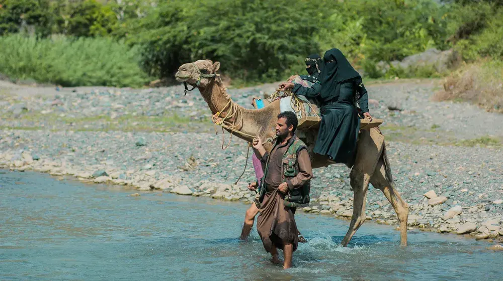 Yemen's camel ambulances